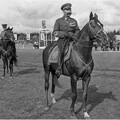 Хвост лошади товарища Будённого