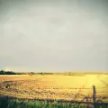Vladimirss