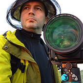 Gordienko Anatoly