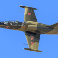 L39
