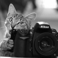 Stalker58