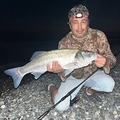 Алексей Харлов