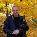 Pavliuk
