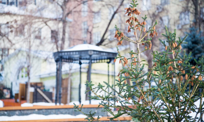 Парк "Горка" Парк "Горка"