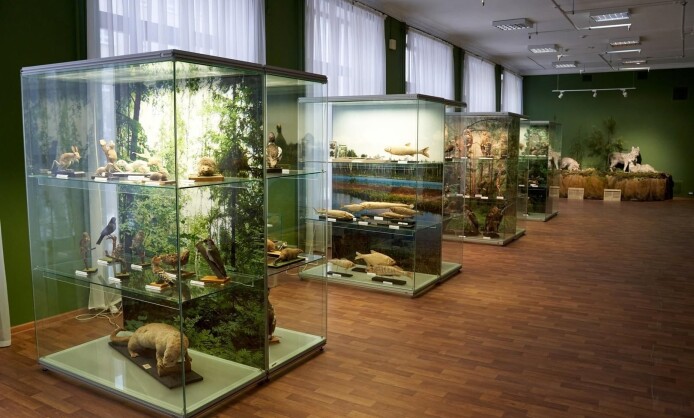 Национальный музей Республики Марий Эл имени Тимофея Евсеева