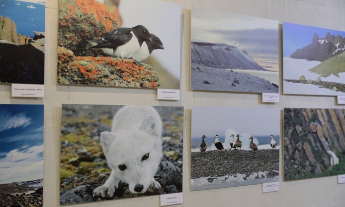 Государственный Дарвиновский музей