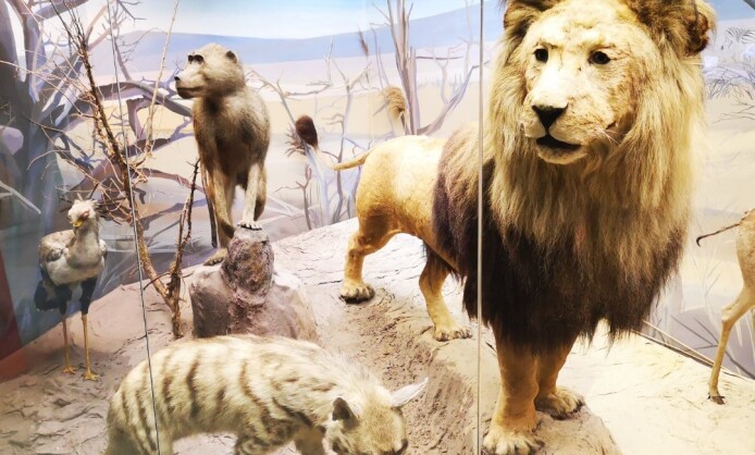 Государственный Дарвиновский музей