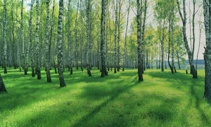 Выставка Дениса Гордиенко «Панорамный взгляд. Русские смыслы» Выставка Дениса Гордиенко «Панорамный взгляд. Русские смыслы»