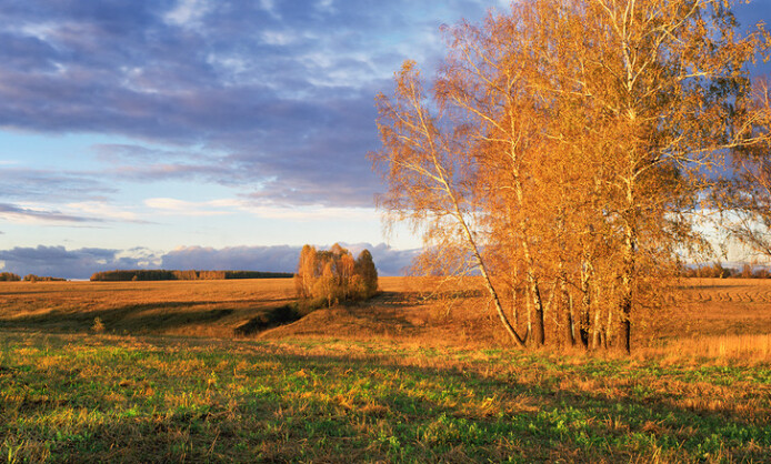 Выставка Дениса Гордиенко «Панорамный взгляд. Русские смыслы» Выставка Дениса Гордиенко «Панорамный взгляд. Русские смыслы»