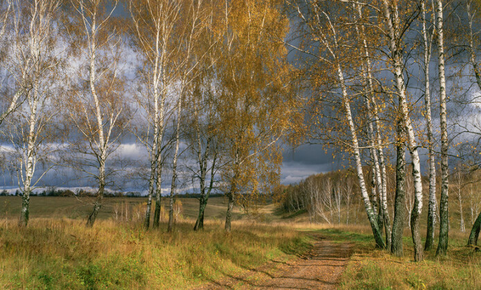 Выставка Дениса Гордиенко «Панорамный взгляд. Русские смыслы» Выставка Дениса Гордиенко «Панорамный взгляд. Русские смыслы»