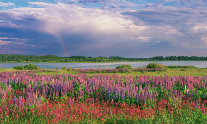 Выставка Дениса Гордиенко «Панорамный взгляд. Русские смыслы» Выставка Дениса Гордиенко «Панорамный взгляд. Русские смыслы»