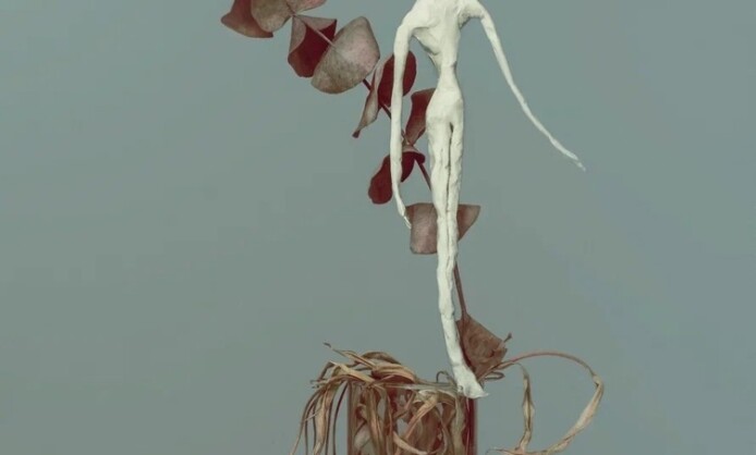 Выставка Алисы Лю «О наивной хрупкости» Выставка Алисы Лю «О наивной хрупкости»