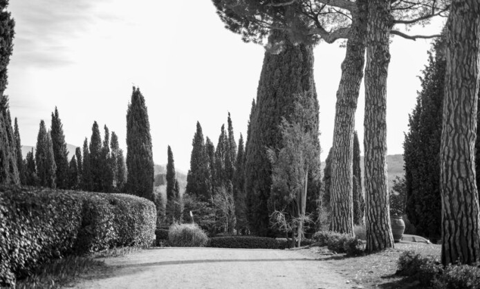 Персональная выставка Павла Шинского «Виноделы. Старый Свет / Новый Свет»