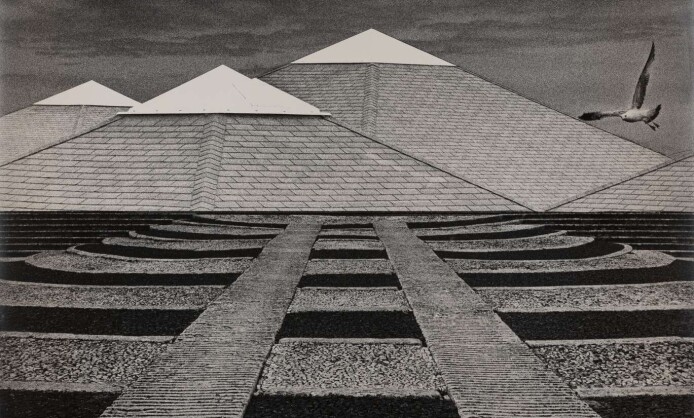 Европейская фотография 1950–1960-х годов Европейская фотография 1950–1960-х годов