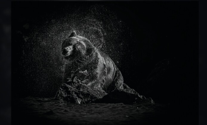 Фотовыставка по итогам международного конкурса РГО «Самая красивая страна» Фотовыставка по итогам международного конкурса РГО «Самая красивая страна»