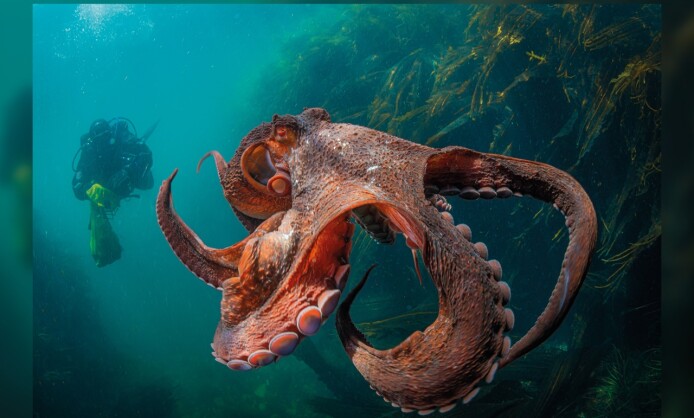 Фотовыставка по итогам международного конкурса РГО «Самая красивая страна» Фотовыставка по итогам международного конкурса РГО «Самая красивая страна»