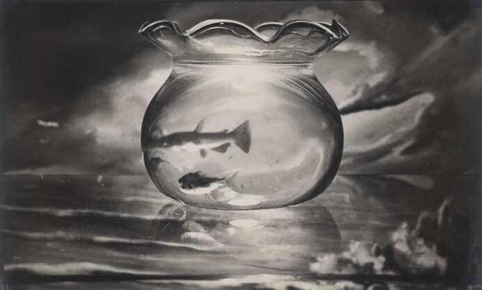 Европейская фотография 1950–1960-х годов Европейская фотография 1950–1960-х годов