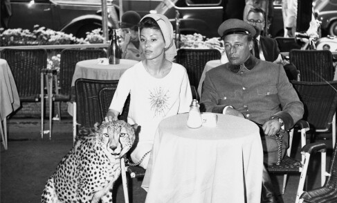 Рино Бариллари Король папарацци  Рино Бариллари Король папарацци