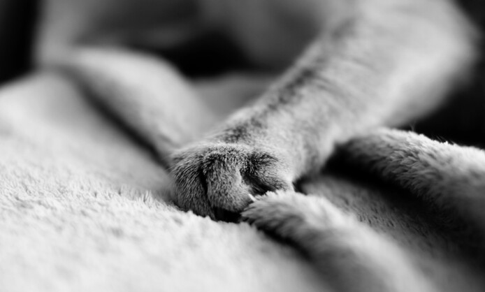 «Там, где труд становится любовью» «Там, где труд становится любовью»