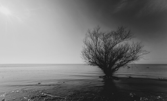 «Там, где труд становится любовью» «Там, где труд становится любовью»