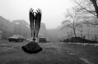 Фотовыставка Евгения Канаева «В рамках пространства»