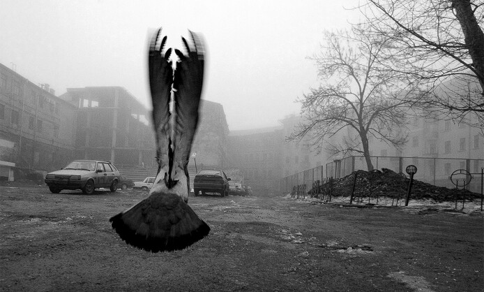 Фотовыставка Евгения Канаева «В рамках пространства» Фотовыставка Евгения Канаева «В рамках пространства»