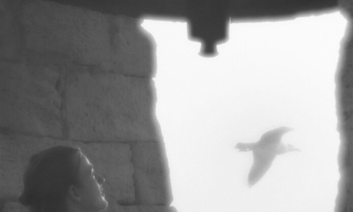 "35 лет Союзу фотохудожников России" в Краснодаре "35 лет Союзу фотохудожников России" в Краснодаре