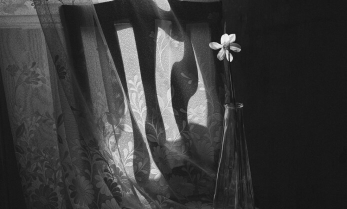 "35 лет Союзу фотохудожников России" в Краснодаре "35 лет Союзу фотохудожников России" в Краснодаре