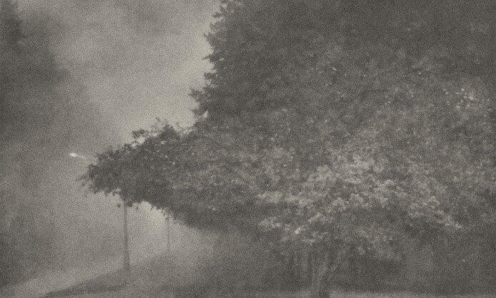 "35 лет Союзу фотохудожников России" в Краснодаре "35 лет Союзу фотохудожников России" в Краснодаре