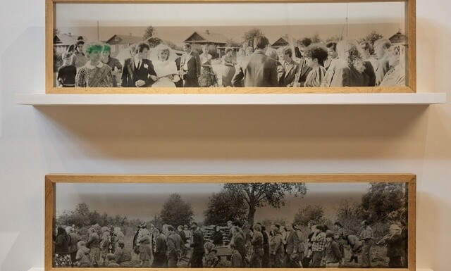 Проект «Семейный альбом» Проект «Семейный альбом»