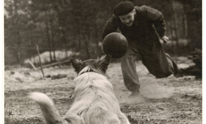ПОЭЗИЯ МГНОВЕНИЙ в объективе Всеволода Воденко ПОЭЗИЯ МГНОВЕНИЙ в объективе Всеволода Воденко