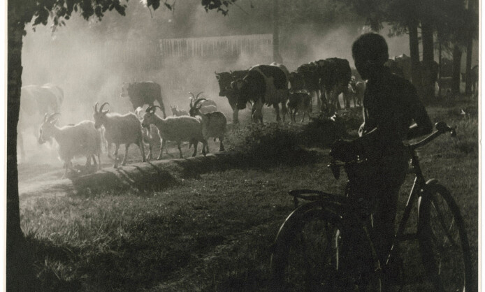 ПОЭЗИЯ МГНОВЕНИЙ в объективе Всеволода Воденко ПОЭЗИЯ МГНОВЕНИЙ в объективе Всеволода Воденко