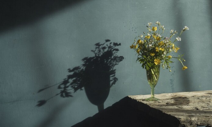 ВЫСТАВКА «35 ЛЕТ СОЮЗУ ФОТОХУДОЖНИКОВ РОССИИ» В СМОЛЕНСКЕ ВЫСТАВКА «35 ЛЕТ СОЮЗУ ФОТОХУДОЖНИКОВ РОССИИ» В СМОЛЕНСКЕ