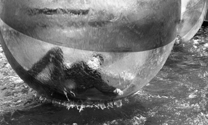 ВЫСТАВКА «35 ЛЕТ СОЮЗУ ФОТОХУДОЖНИКОВ РОССИИ» В СМОЛЕНСКЕ ВЫСТАВКА «35 ЛЕТ СОЮЗУ ФОТОХУДОЖНИКОВ РОССИИ» В СМОЛЕНСКЕ