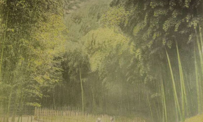 Осторожно раскрашено Осторожно раскрашено