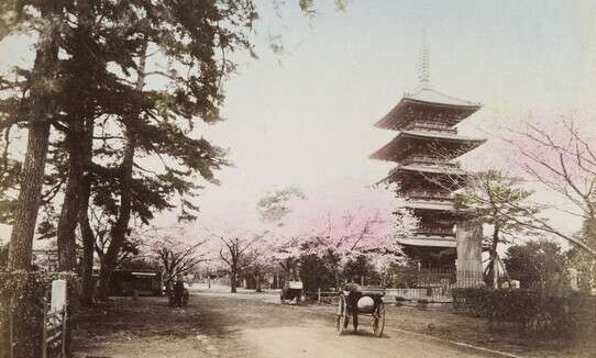 Осторожно раскрашено Осторожно раскрашено