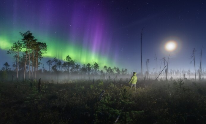 Иван Чаланов «Коми – край бореальных болот» Иван Чаланов «Коми – край бореальных болот»