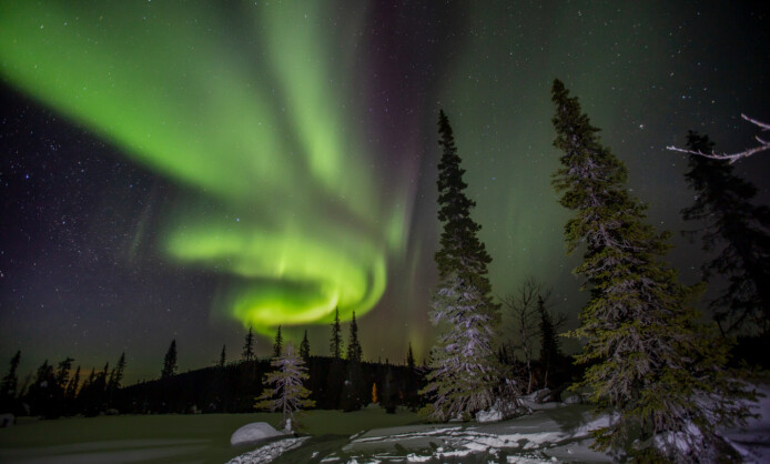Юрий Овчинников Времена года