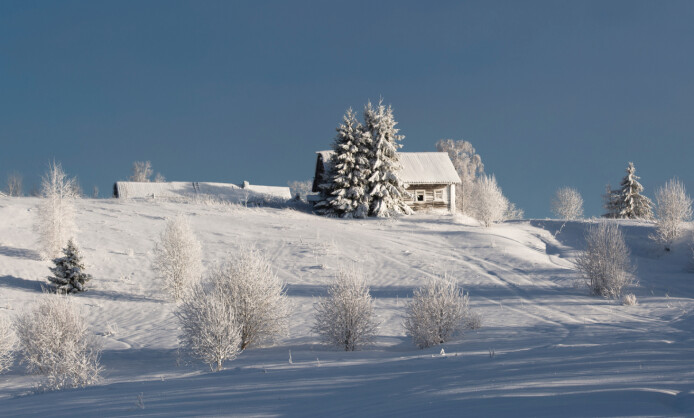 Юрий Овчинников Времена года