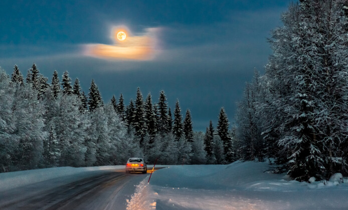 Юрий Овчинников Времена года