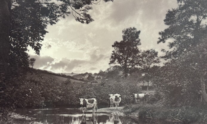 Шедевры ранней фотографии. 1840–1870 гг. Шедевры ранней фотографии. 1840–1870 гг.