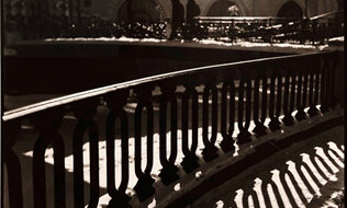 Ярослав Добронравов — ДНЕВНИК НАБЛЮДЕНИЙ ЗА ПРИРОДОЙ Ярослав Добронравов — ДНЕВНИК НАБЛЮДЕНИЙ ЗА ПРИРОДОЙ