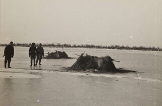 Амурский край в фотографиях конца XIX — начала ХХ века