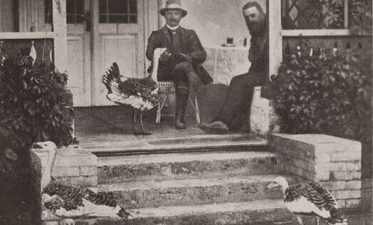 Аскания-Нова. Письма из земного рая Аскания-Нова. Письма из земного рая