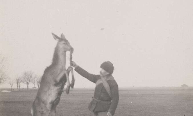 Аскания-Нова. Письма из земного рая Аскания-Нова. Письма из земного рая