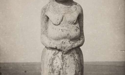 Аскания-Нова. Письма из земного рая Аскания-Нова. Письма из земного рая