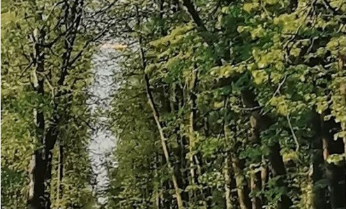 Фотовыставка Елены Шутовой «Встреча с Бежецком» Фотовыставка Елены Шутовой «Встреча с Бежецком»