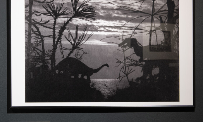 «О ФОТОГРАФИИ. Случайность/сингулярность/приключение» 