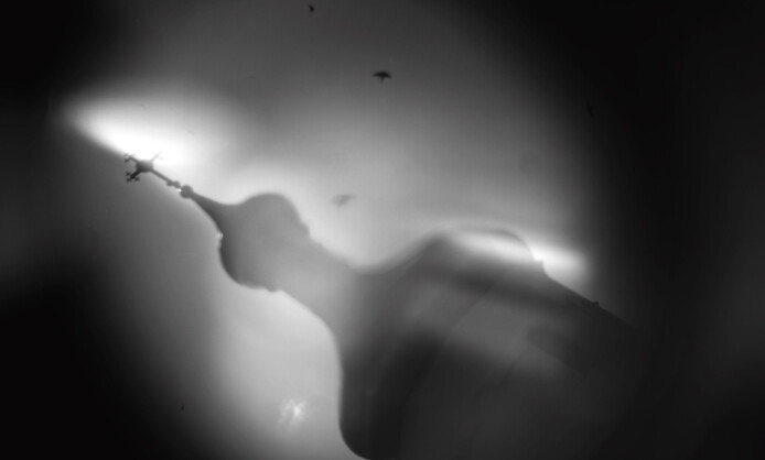 Выставка «НЕОВИДЕНИЕ» Выставка «НЕОВИДЕНИЕ»