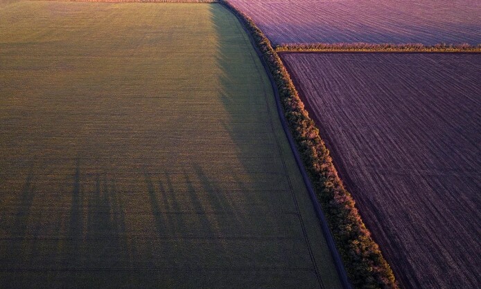 Выставка фотографий Антона Воронина «Грядки: абстракции плодородия» Выставка фотографий Антона Воронина «Грядки: абстракции плодородия»